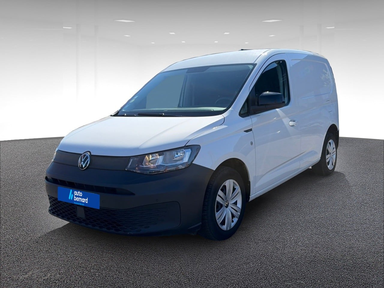 2.0 TDI 102ch Business Plus