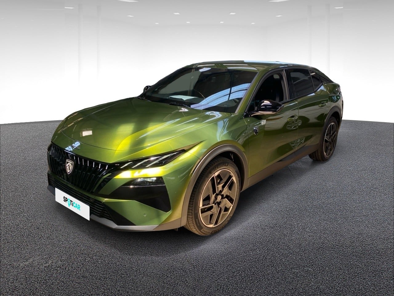 Electrique 210ch 58kWh GT Exclusive