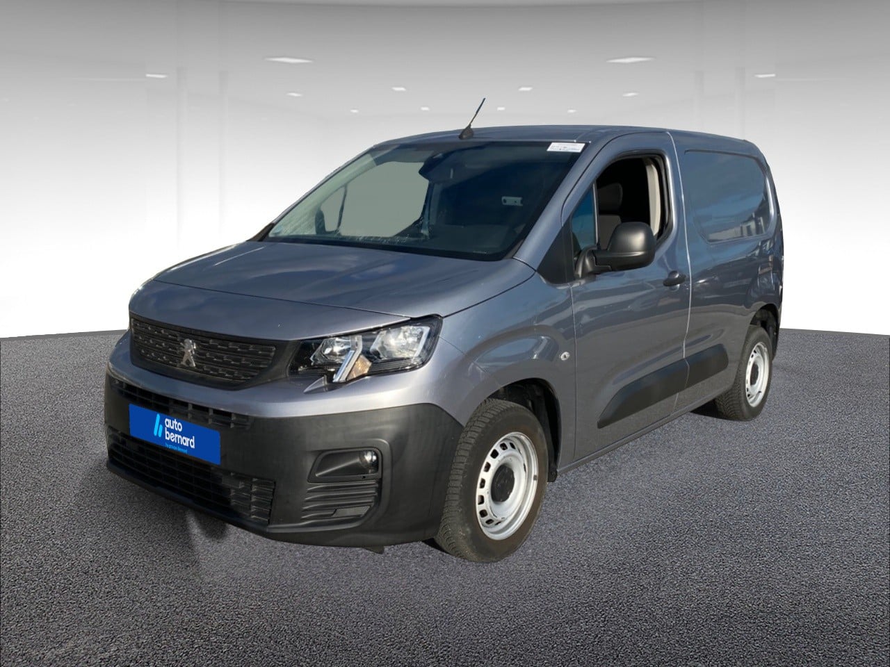 Standard 650kg Puretech 110ch S&S Premium