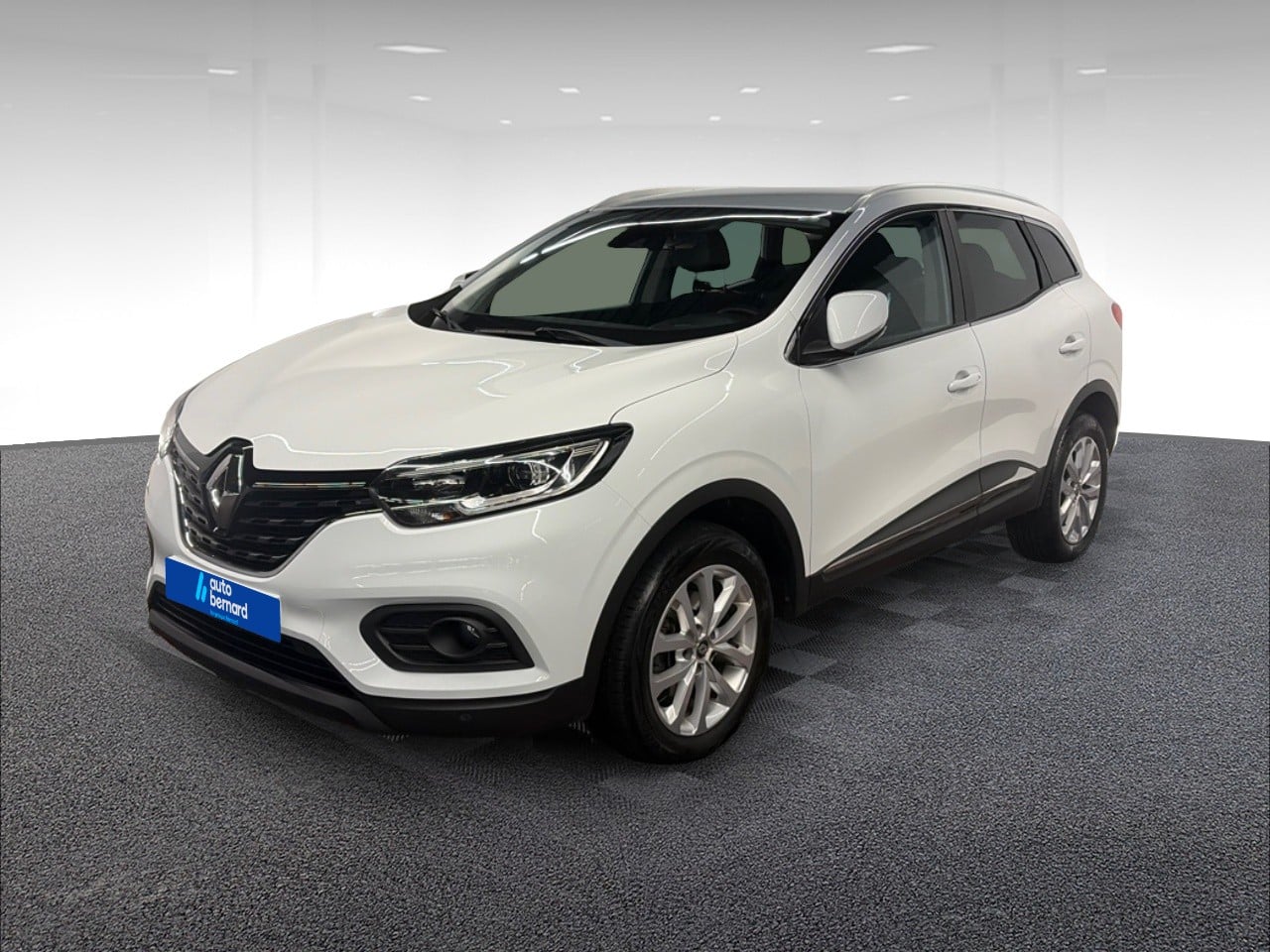 1.5 Blue dCi 115ch Business - 21