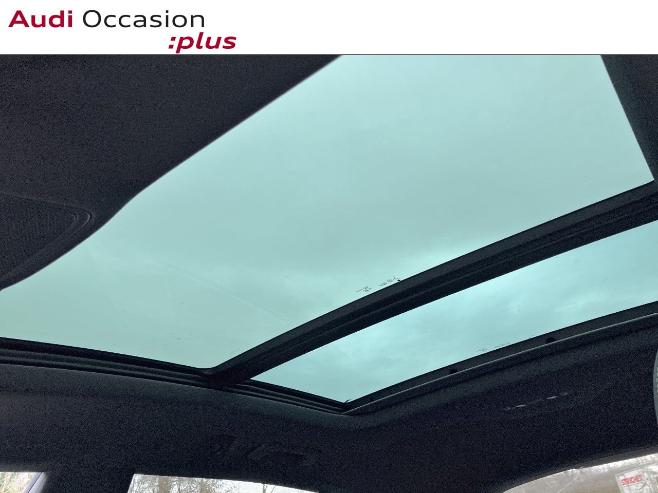 Voitures occasions Audi Q8 Compétition Augny