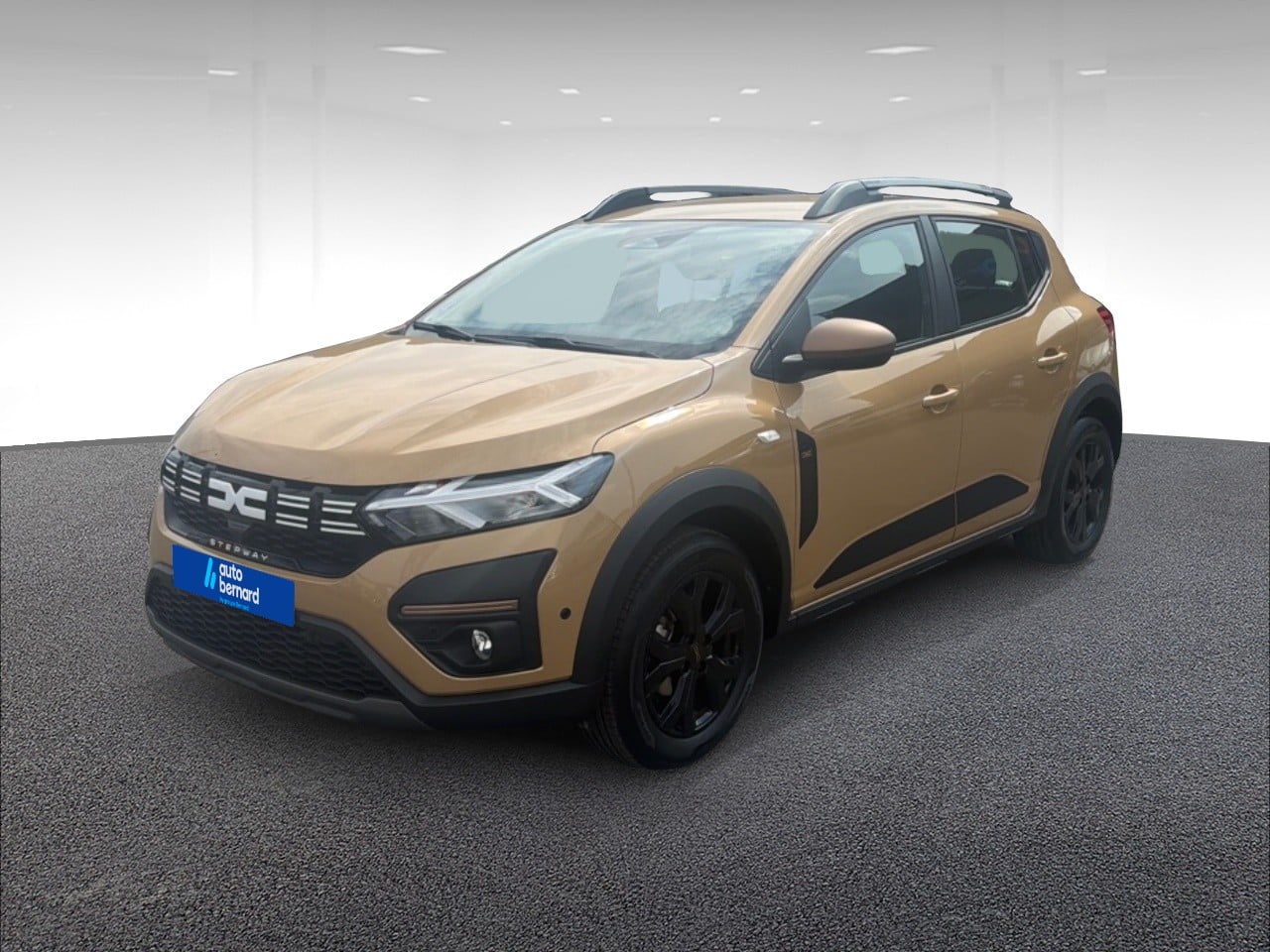1.0 ECO-G 100ch Stepway Extreme -24