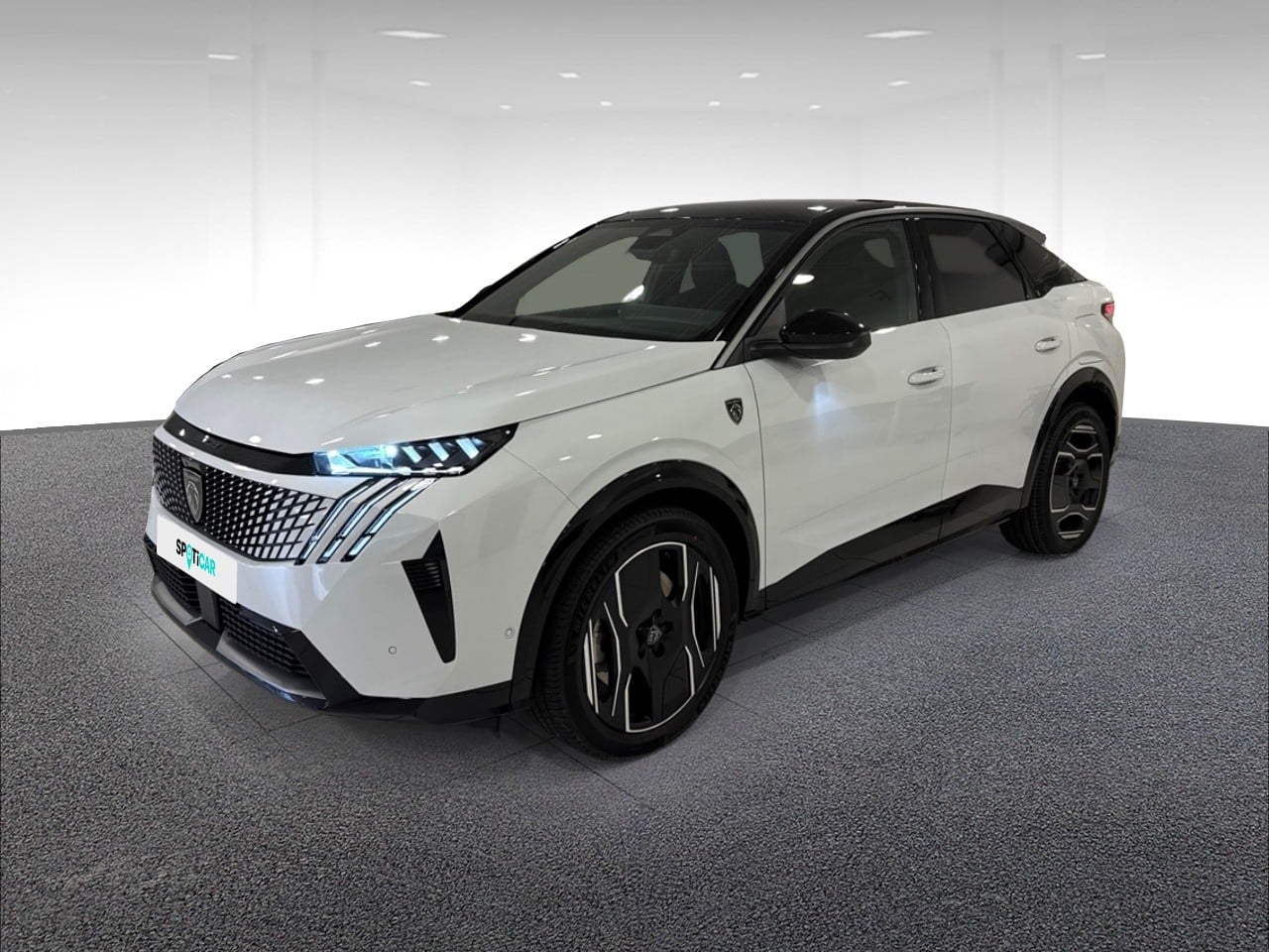 Electrique 230ch Batterie 97 kWh GT Exclusive