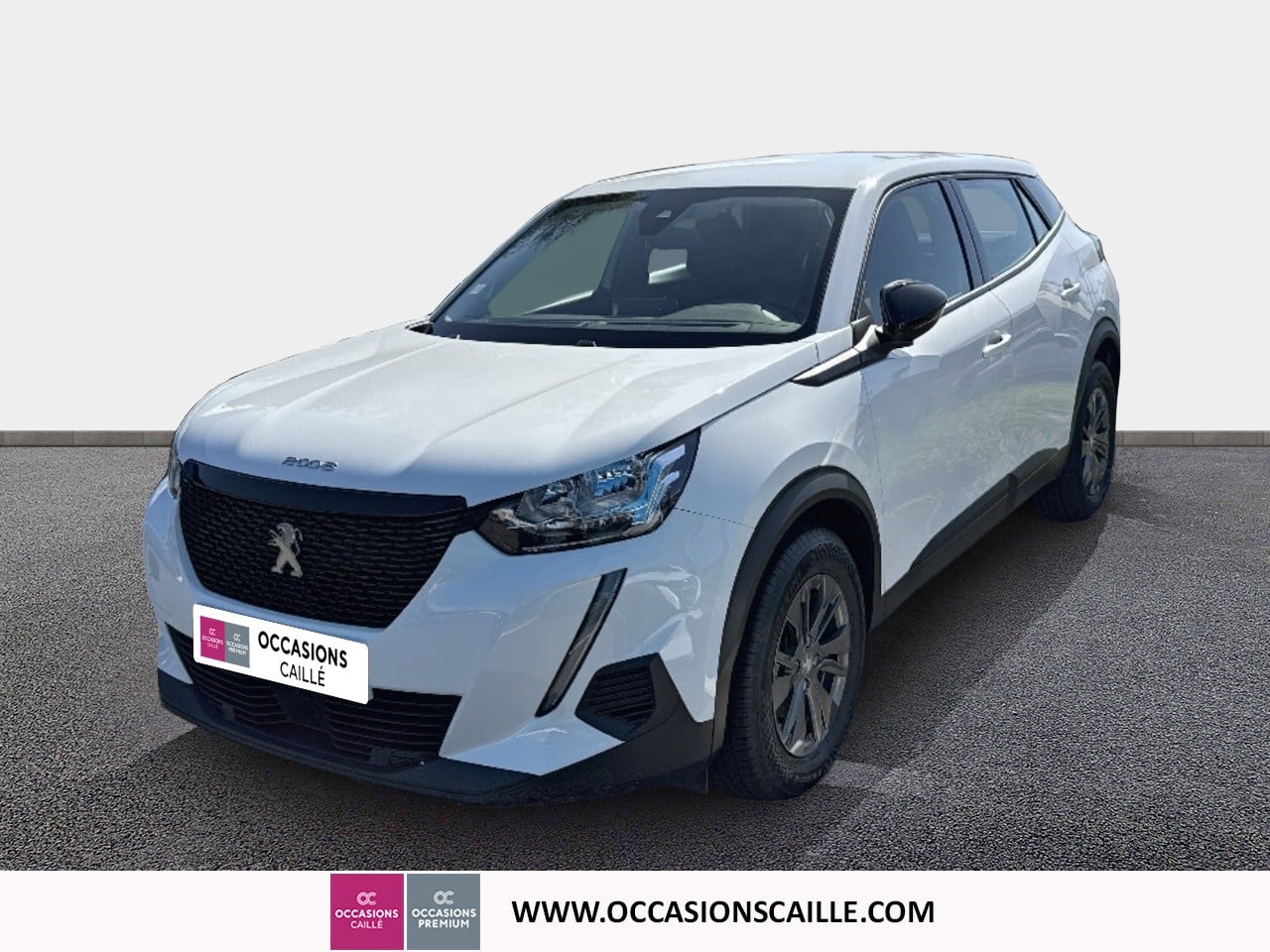 PEUGEOT 2008 ACTIVE PK 1.2 100CV
