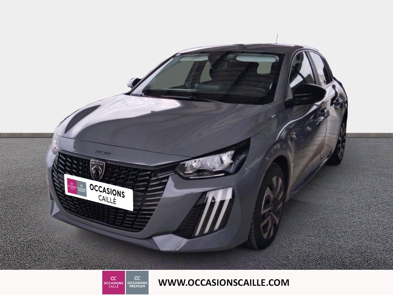 PEUGEOT 208 ACTIVE 1.2 L 100 CV