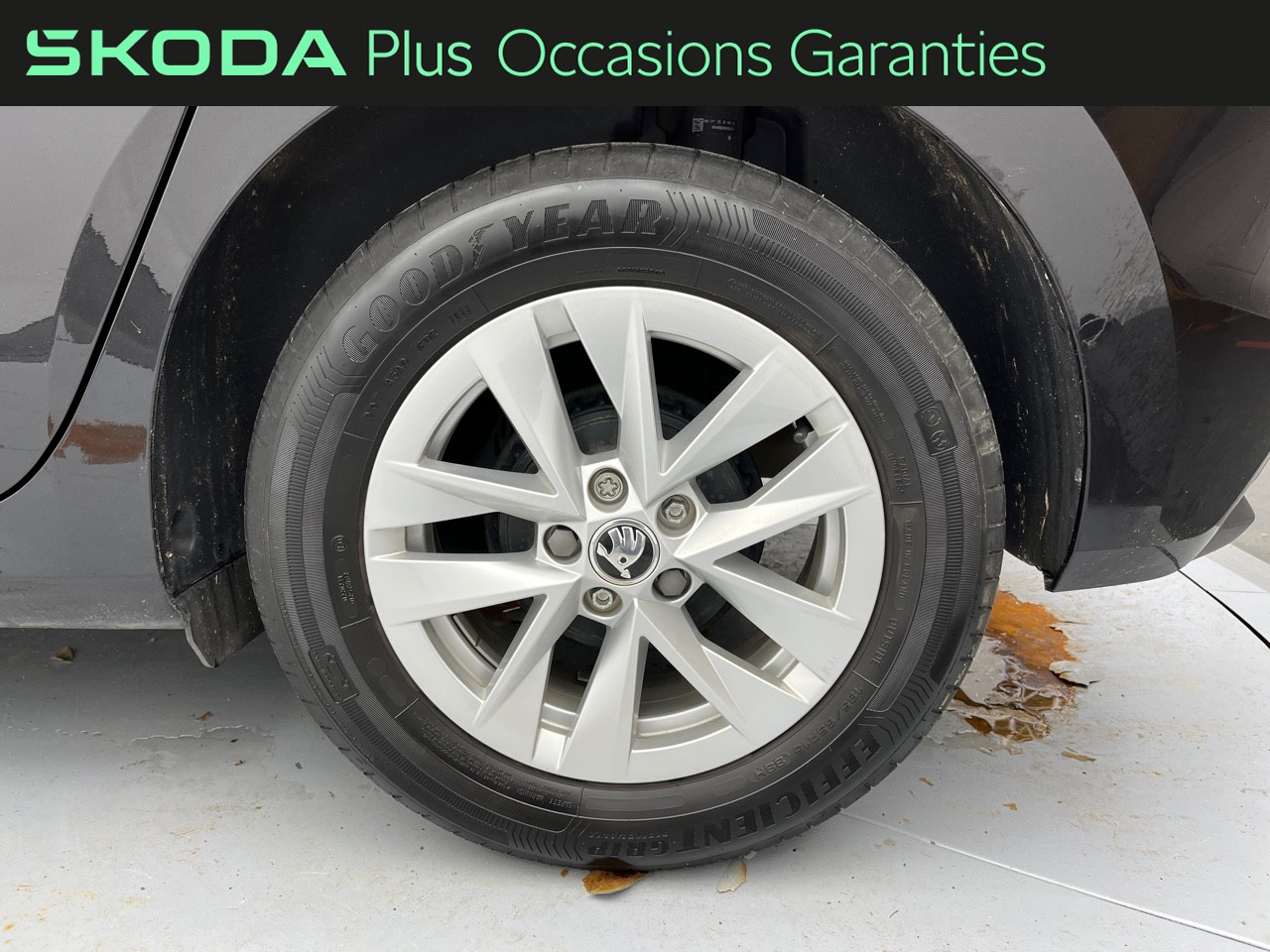 Voitures occasions ŠKODA FABIA Ambition Rezé