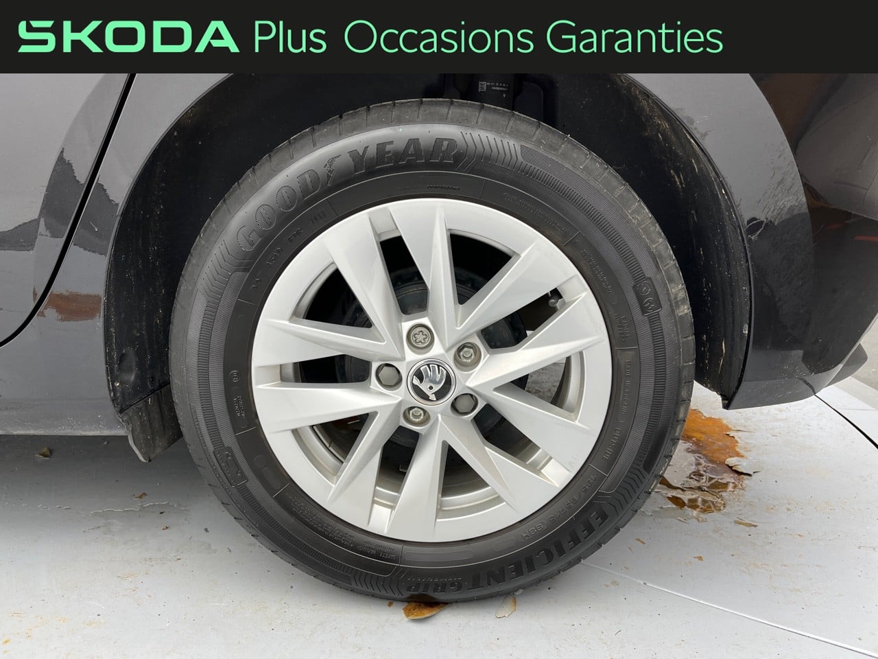 Voitures occasions ŠKODA FABIA Ambition Orvault