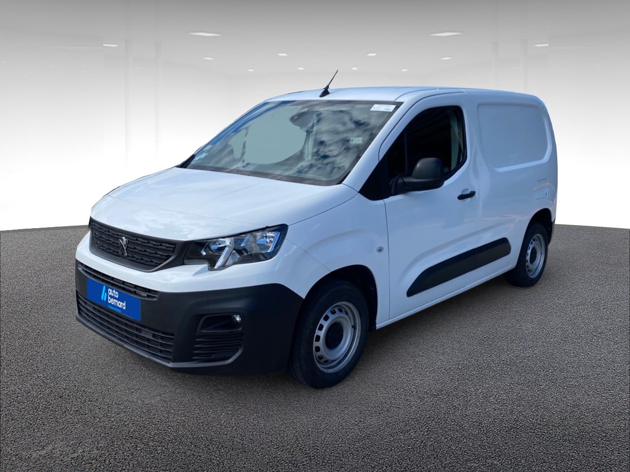 Standard 650kg BlueHDi 100ch S&S Premium