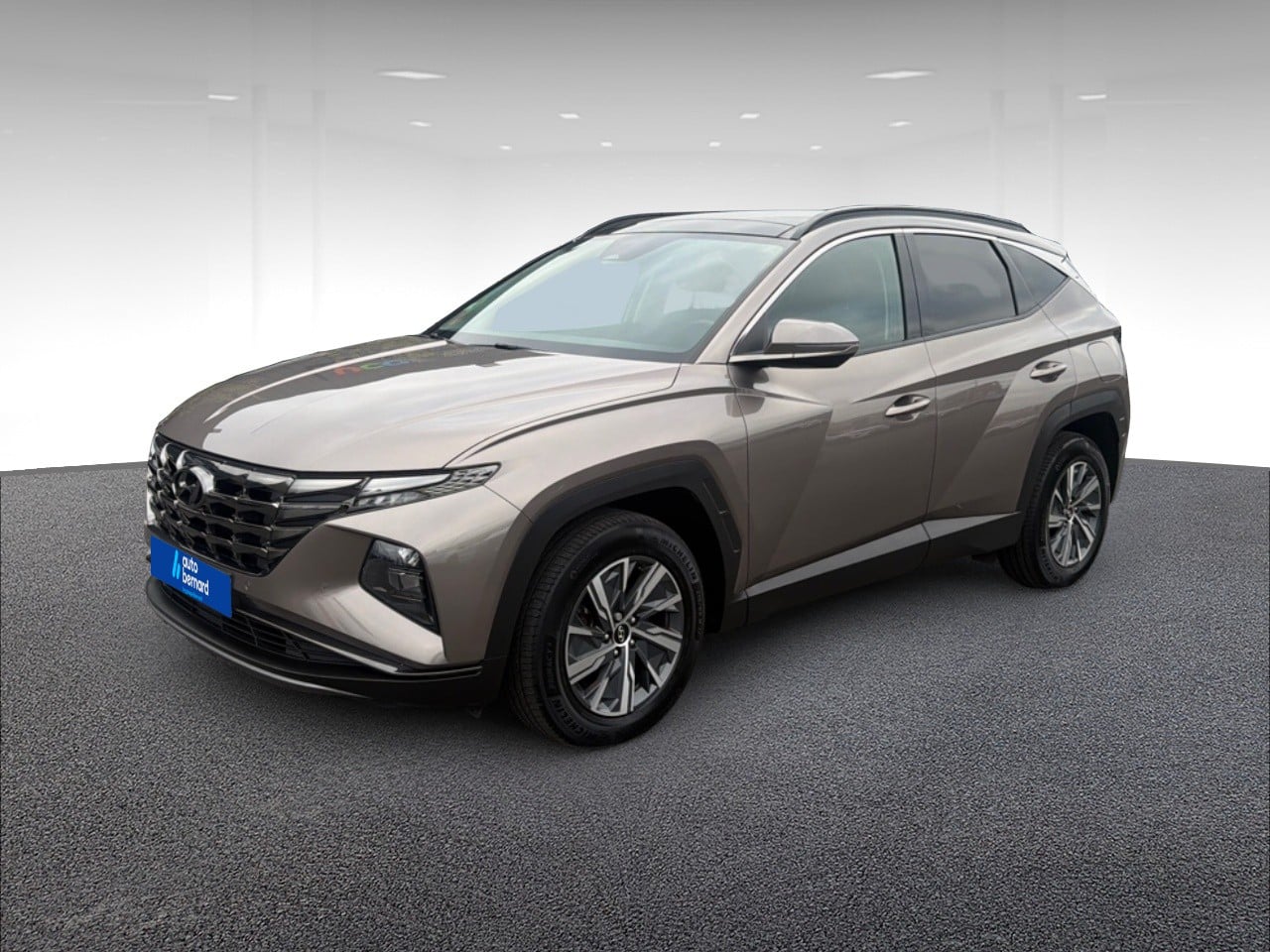 1.6 T-GDi 230ch Hybrid Creative BVA6