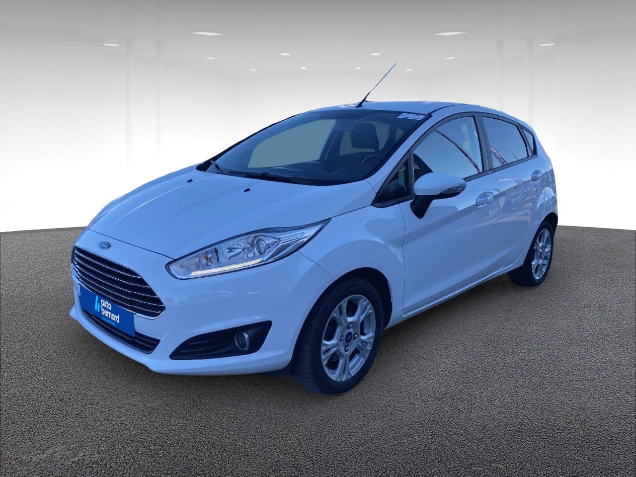 1.0 EcoBoost 100ch Stop&Start Business 5p
