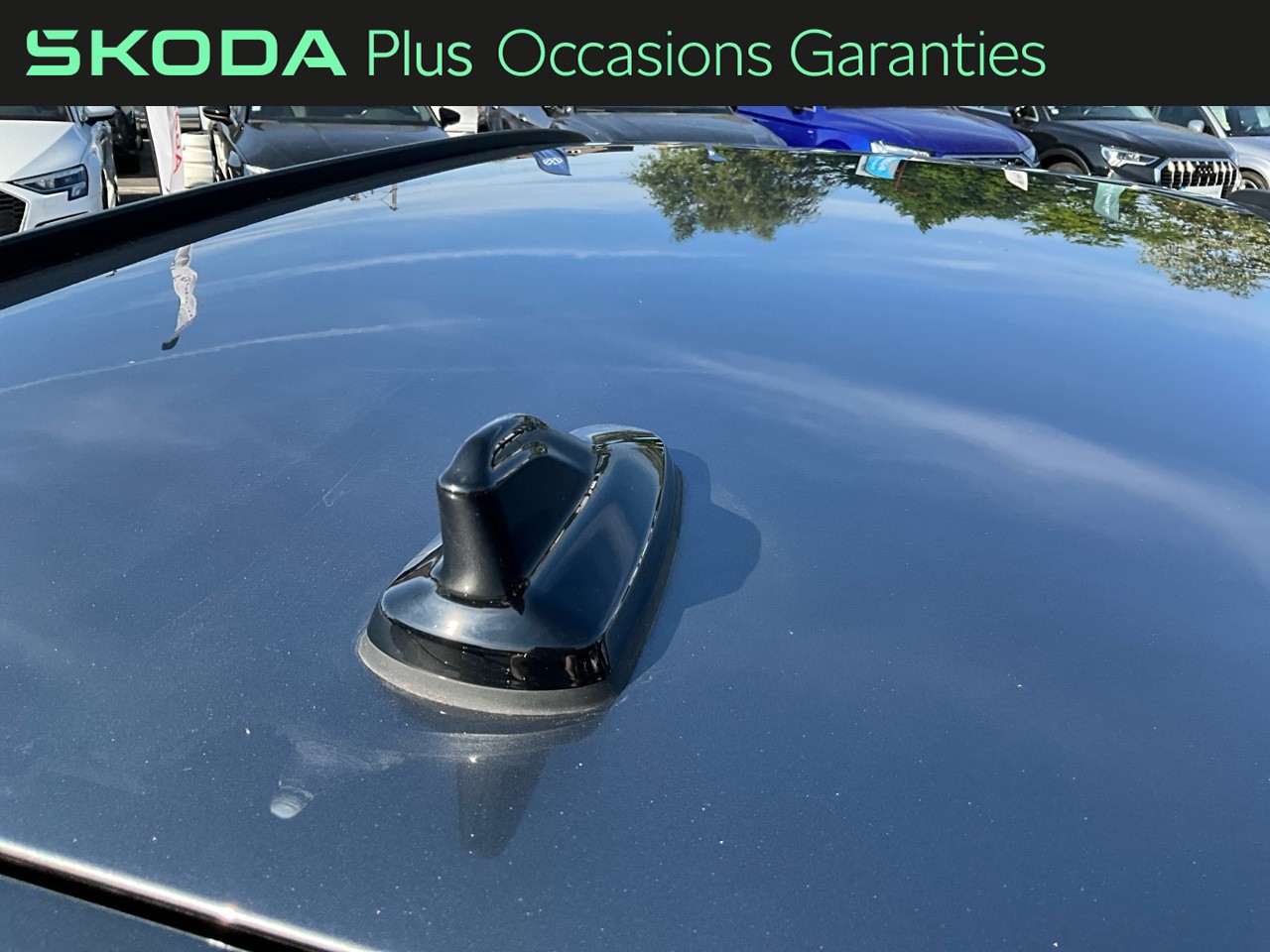 Voitures occasions ŠKODA Octavia Combi Business Hazebrouck