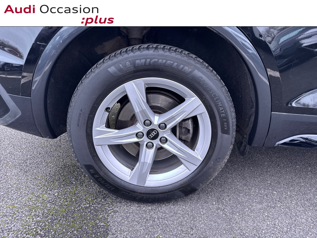 Voitures occasions Audi Q5 Sportback Avus Rivery