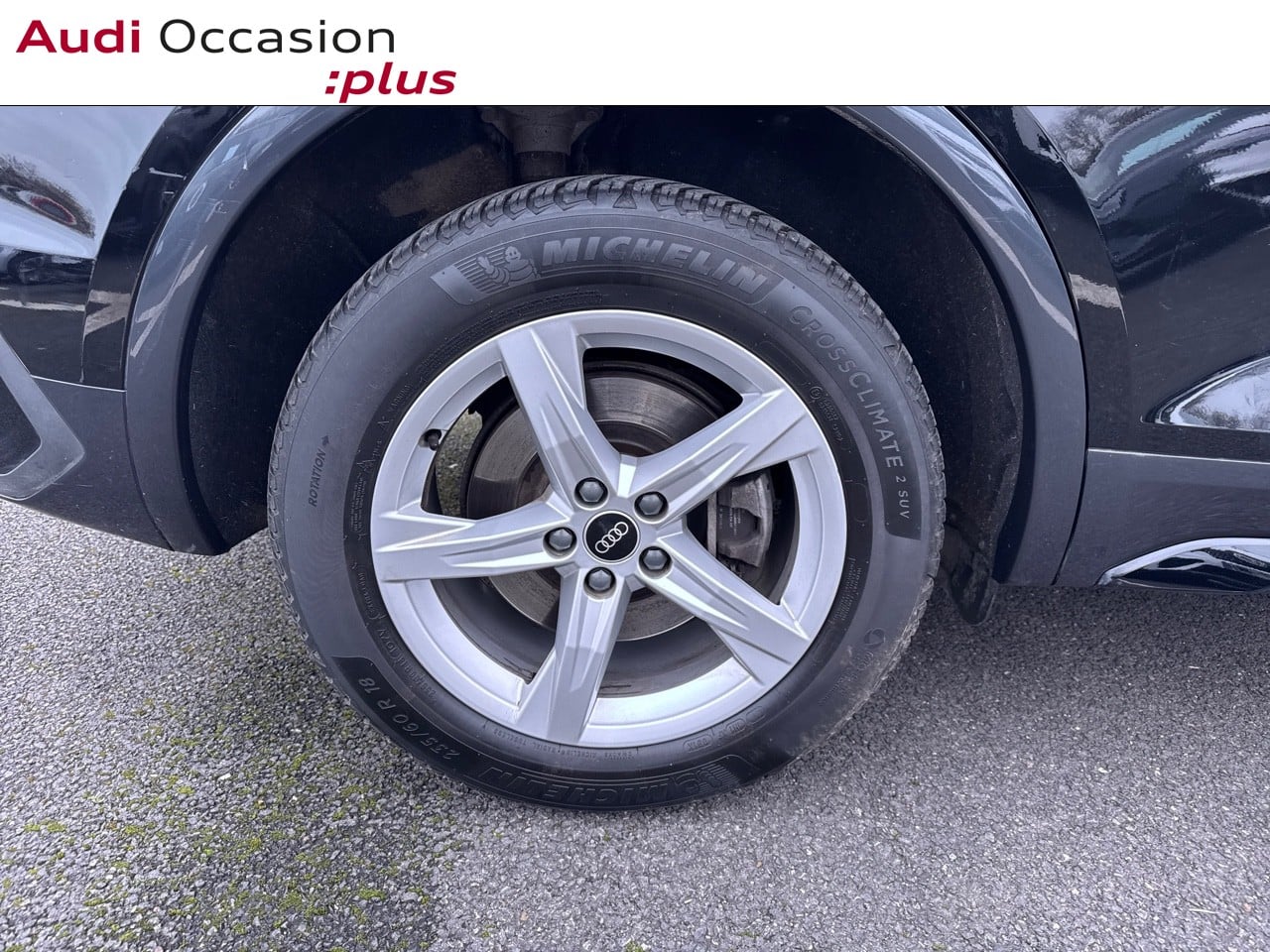 Voitures occasions Audi Q5 Sportback Avus Rivery