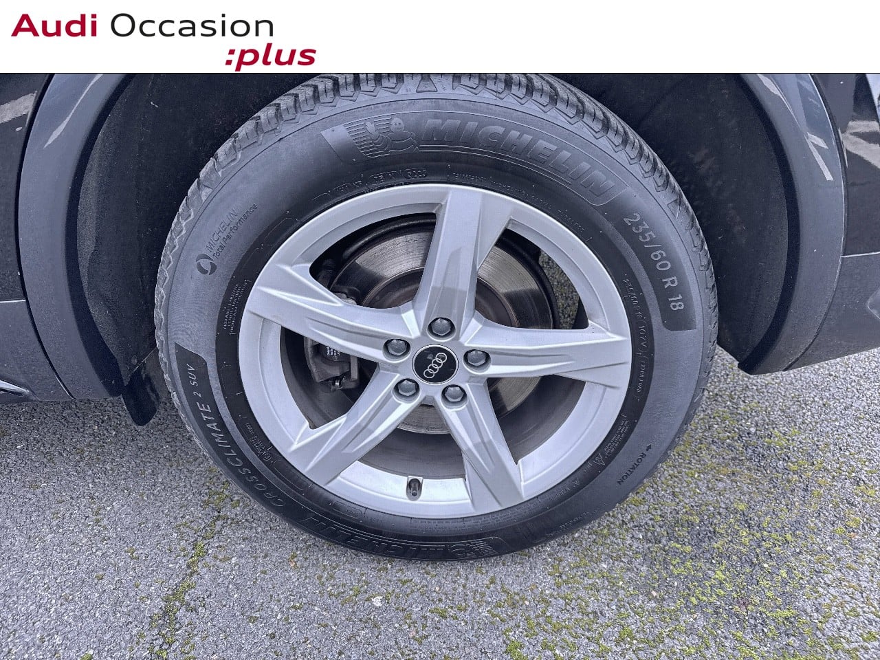 Voitures occasions Audi Q5 Sportback Avus Rivery