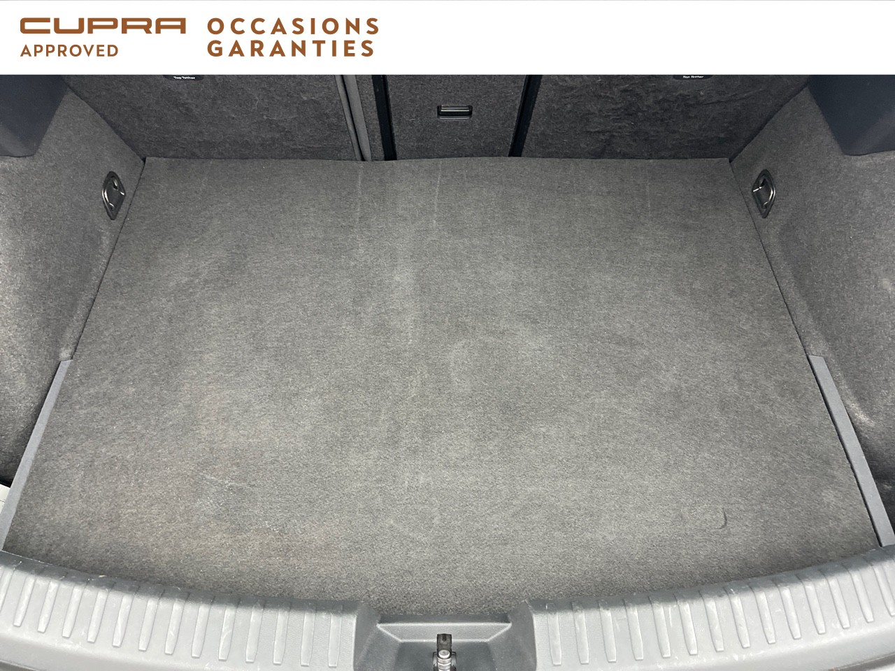 Voitures occasions CUPRA LEON VZ Orvault