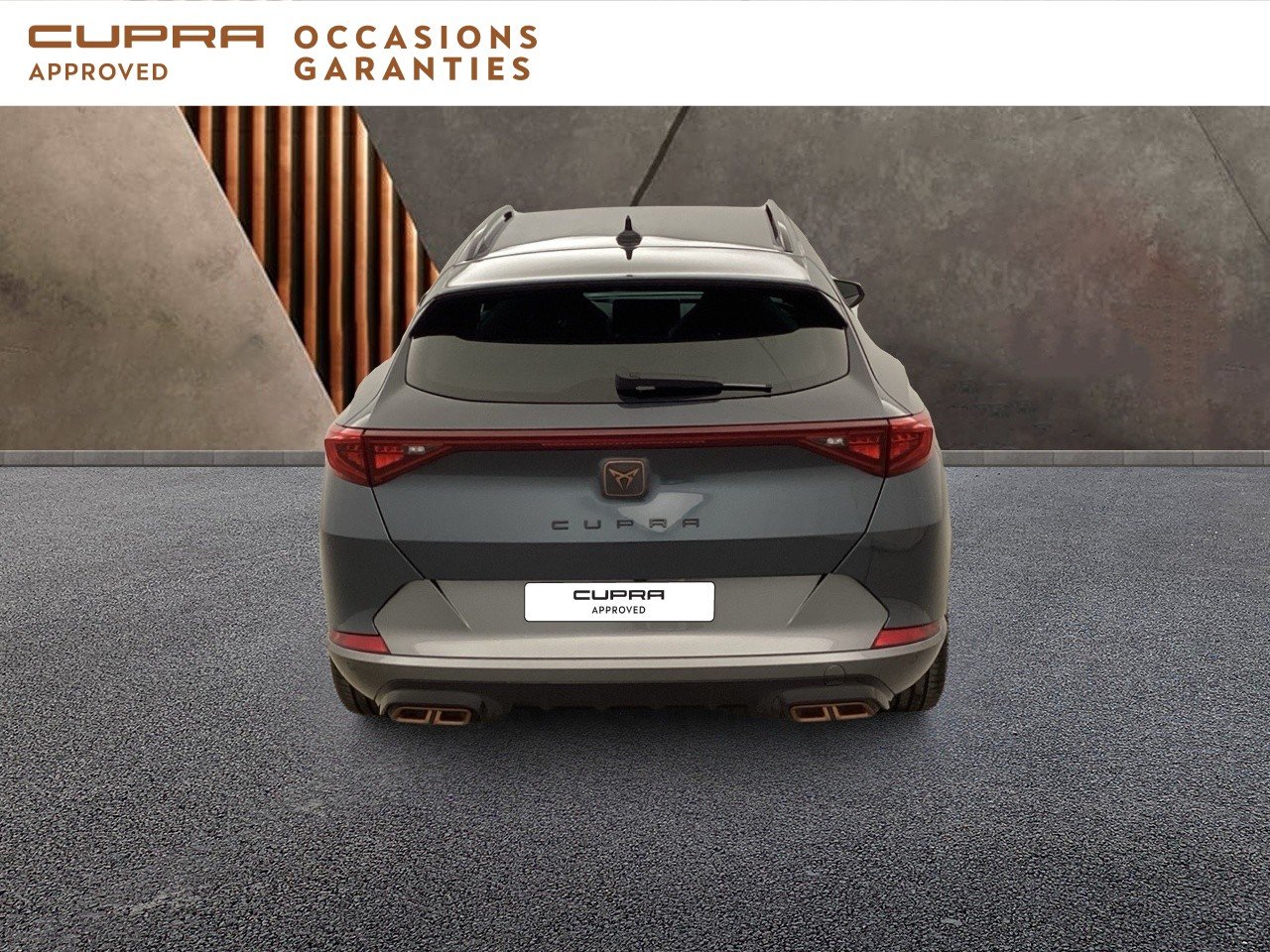 Voitures occasions CUPRA FORMENTOR VZ Nice