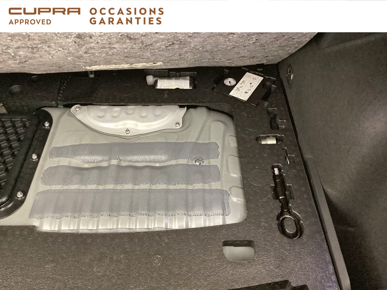 Voitures occasions CUPRA FORMENTOR VZ Nice