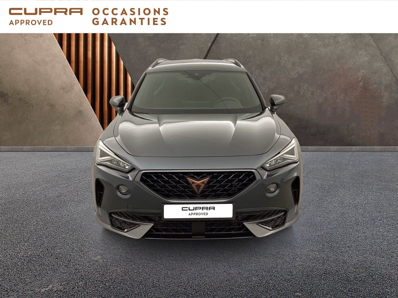 Voitures occasions CUPRA FORMENTOR VZ Nice