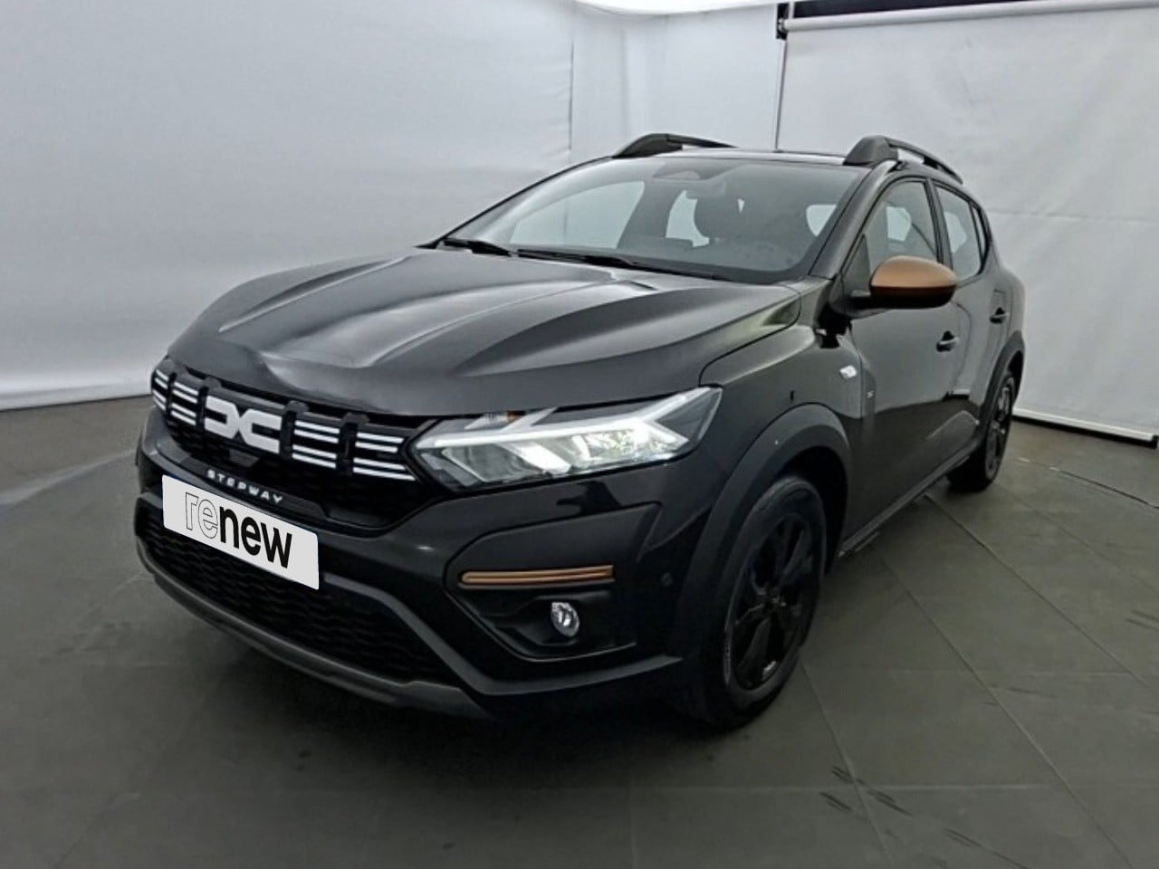 1.0 TCe 110ch Stepway Extreme -24