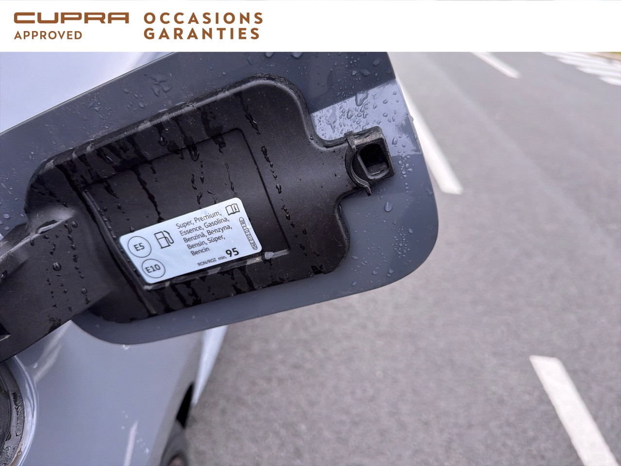 Voitures occasions SEAT Cupra  Dechy