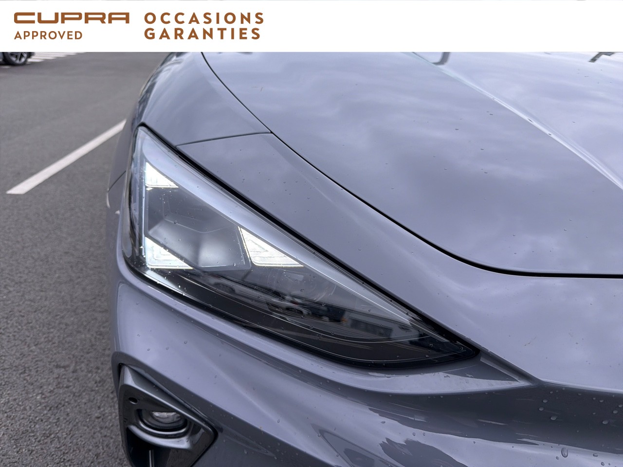 Voitures occasions SEAT Cupra  Dechy