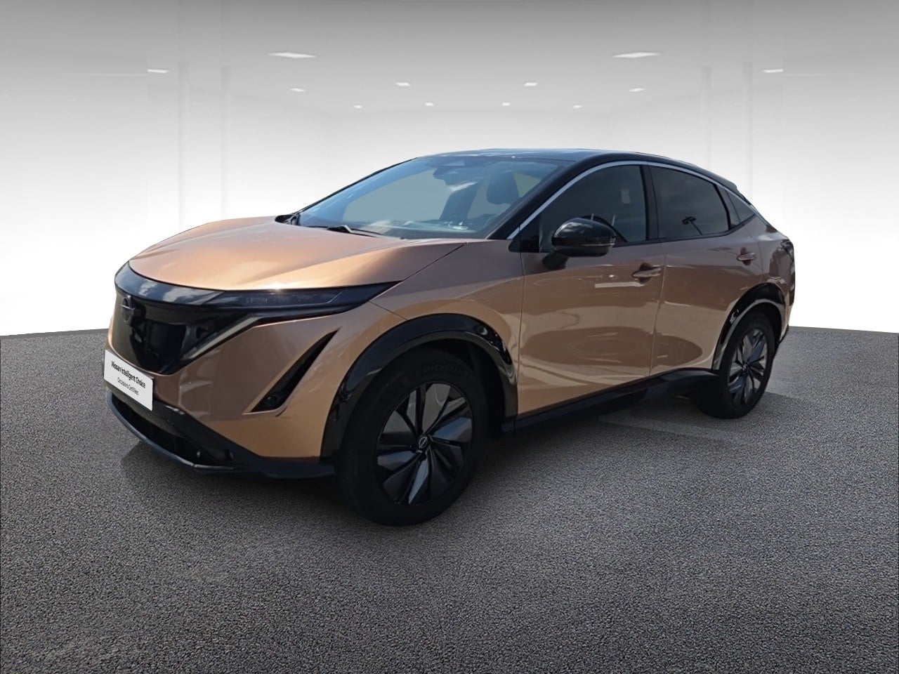 Electrique 242ch 87kWh Advance