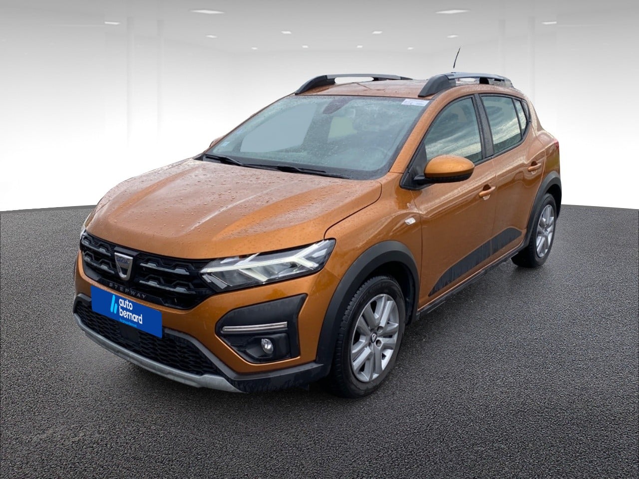 1.0 ECO-G 100ch Stepway Confort