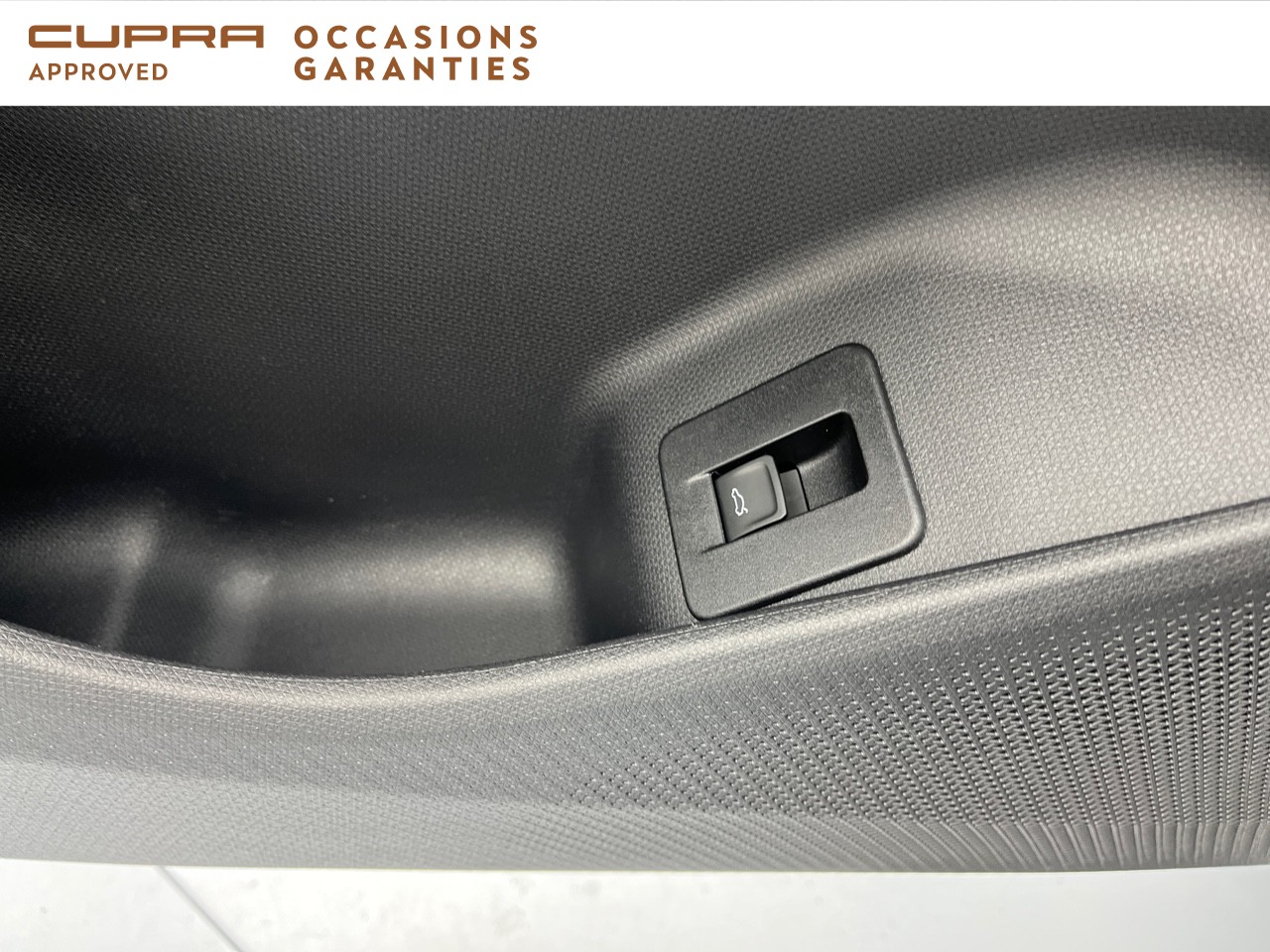 Voitures occasions CUPRA Terramar V Orvault