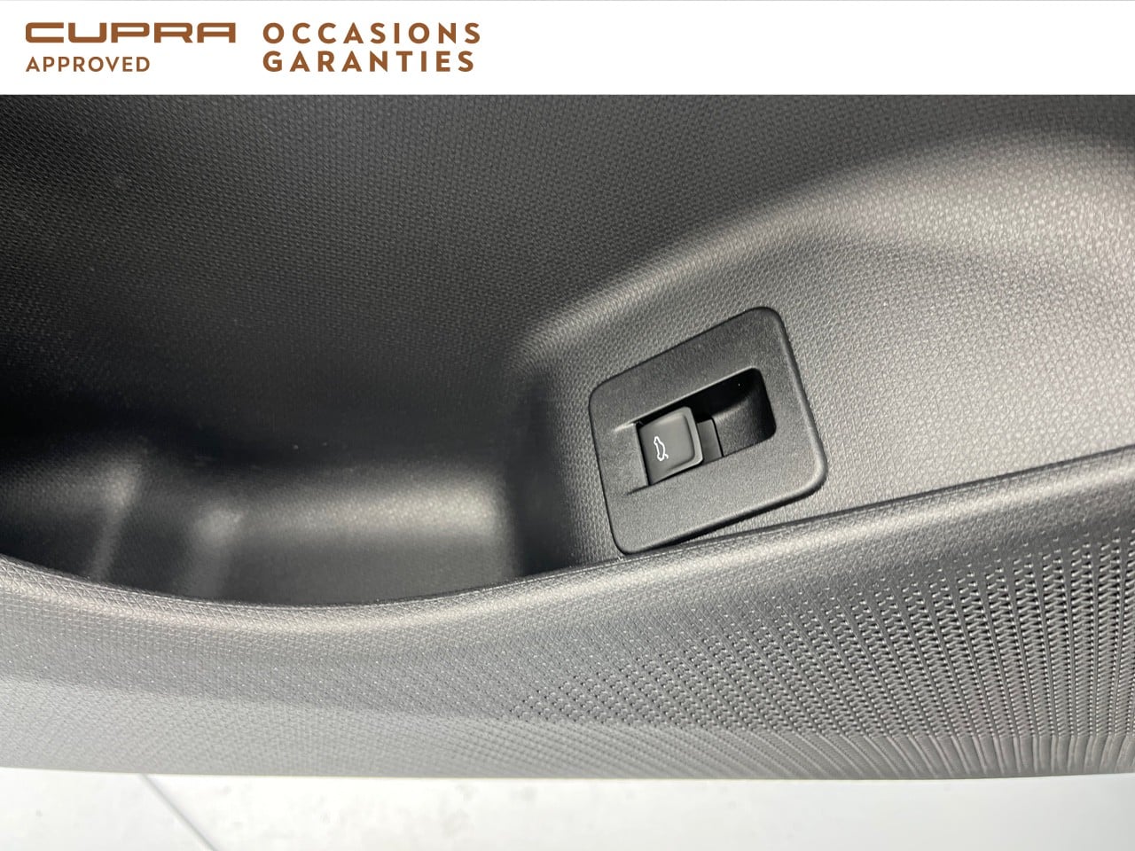 Voitures occasions CUPRA Terramar V Orvault