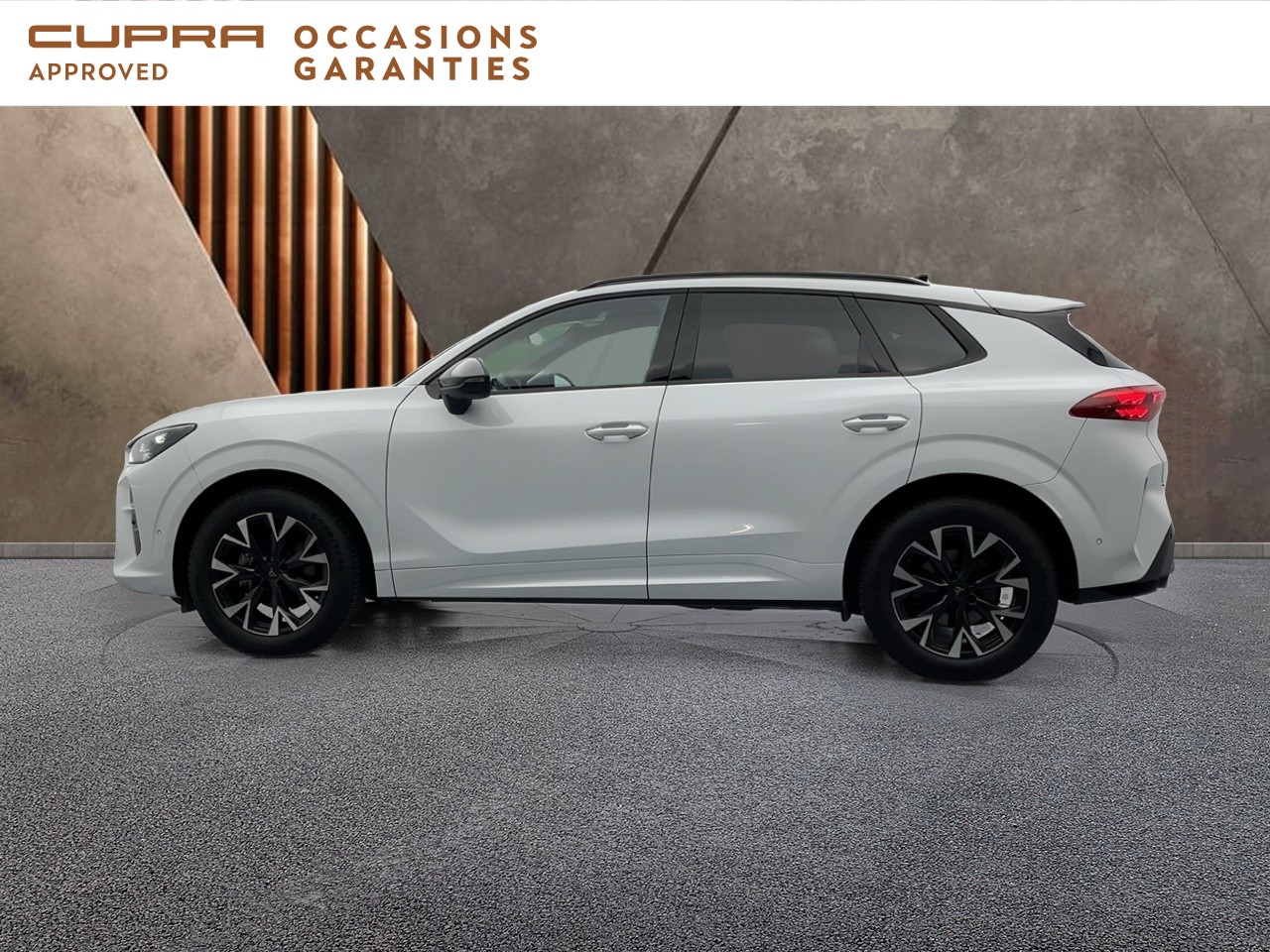 Voitures occasions CUPRA Terramar V Orvault