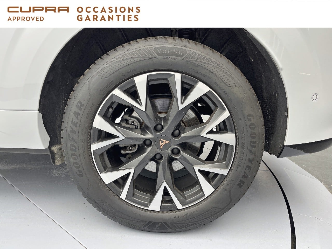 Voitures occasions CUPRA Terramar V Orvault