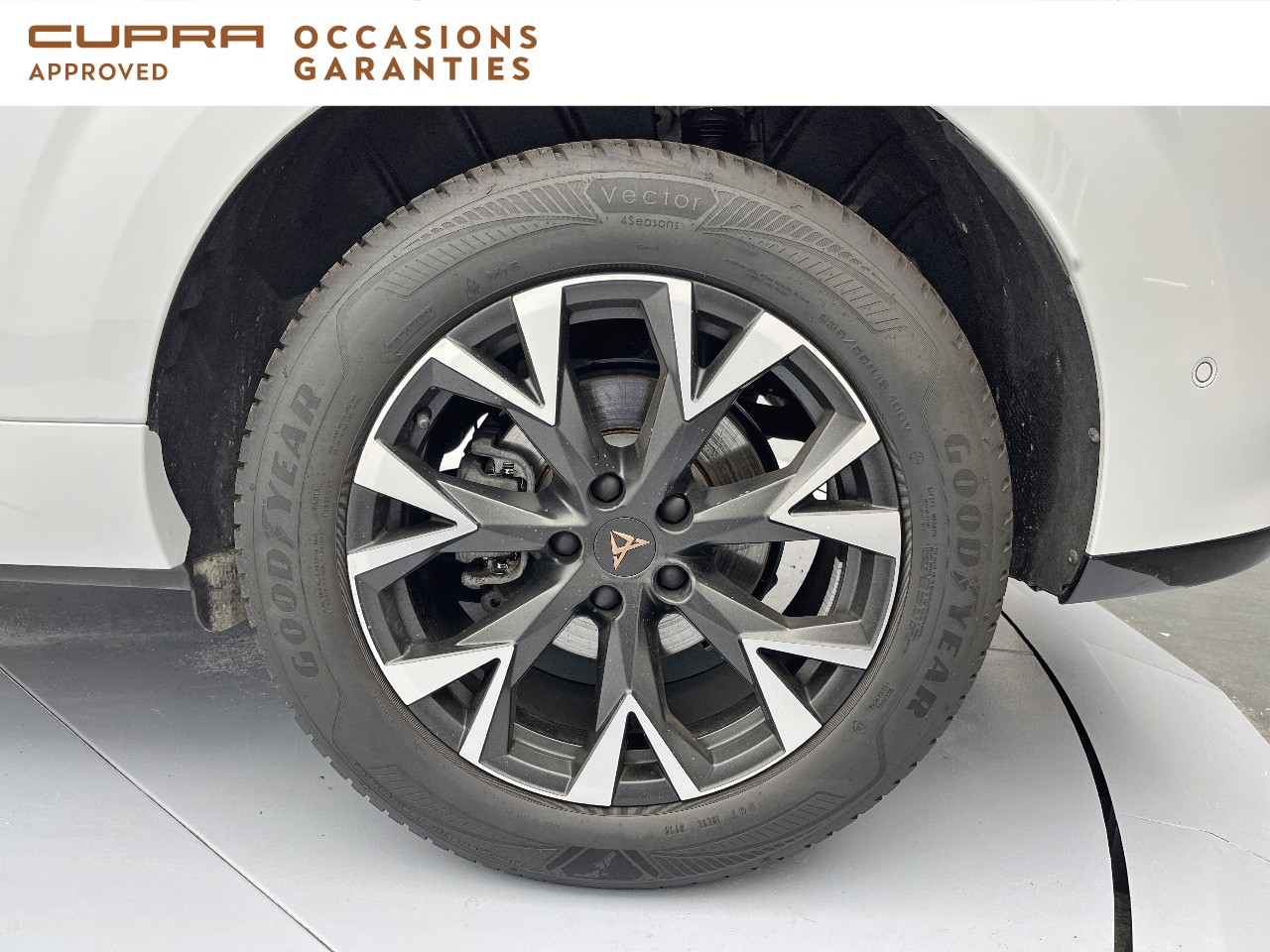 Voitures occasions SEAT Cupra  Orvault