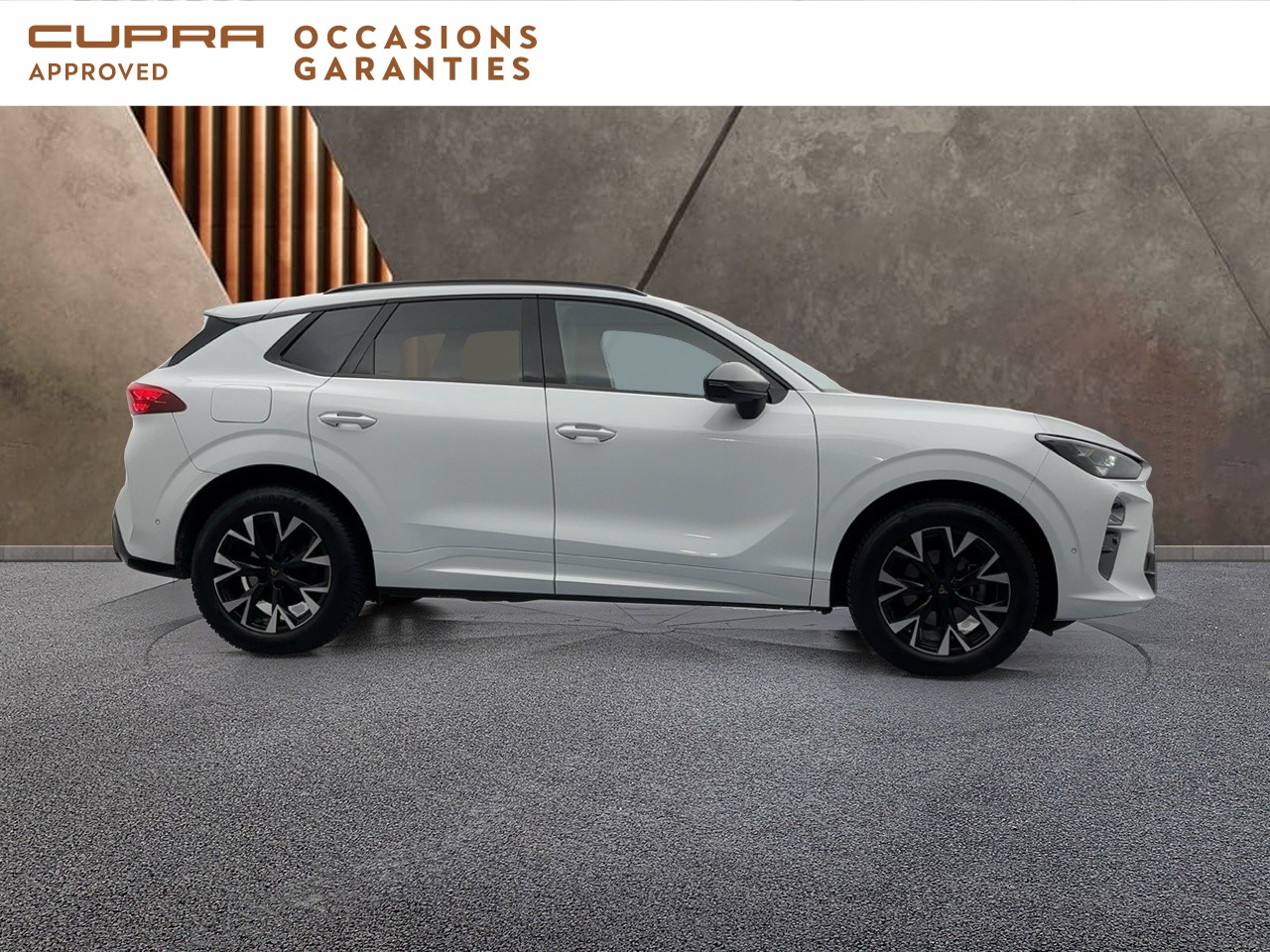 Voitures occasions SEAT Cupra  Orvault