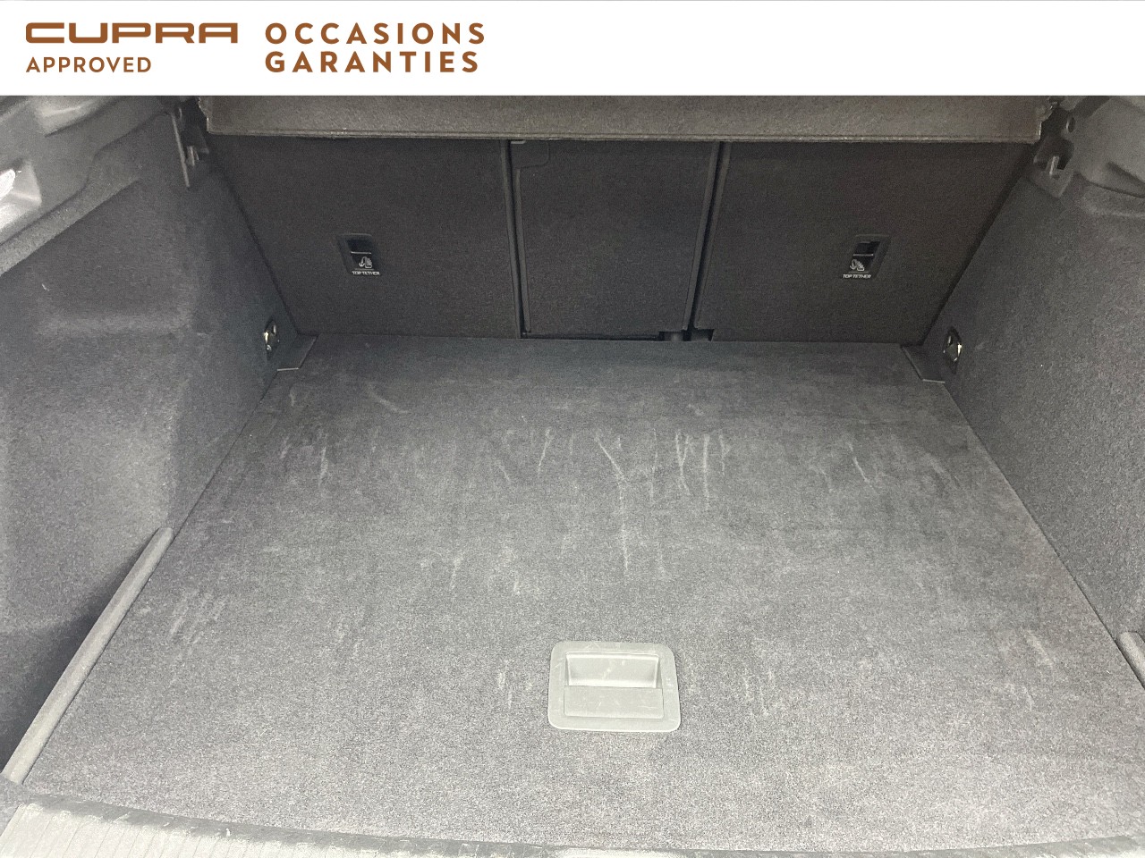 Voitures occasions SEAT Cupra  Orvault