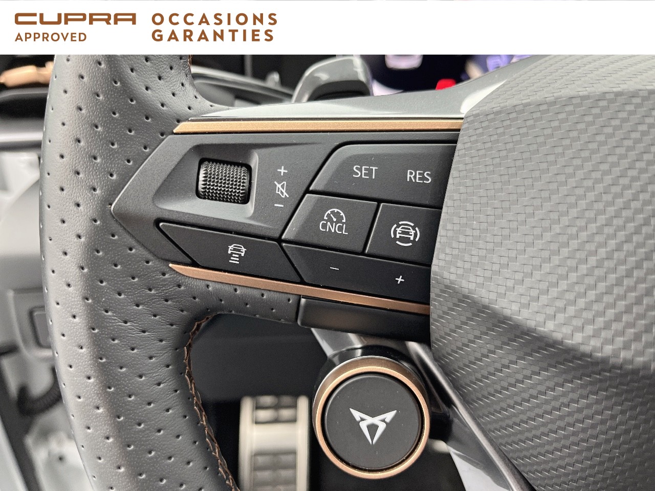 Voitures occasions CUPRA Terramar V Orvault
