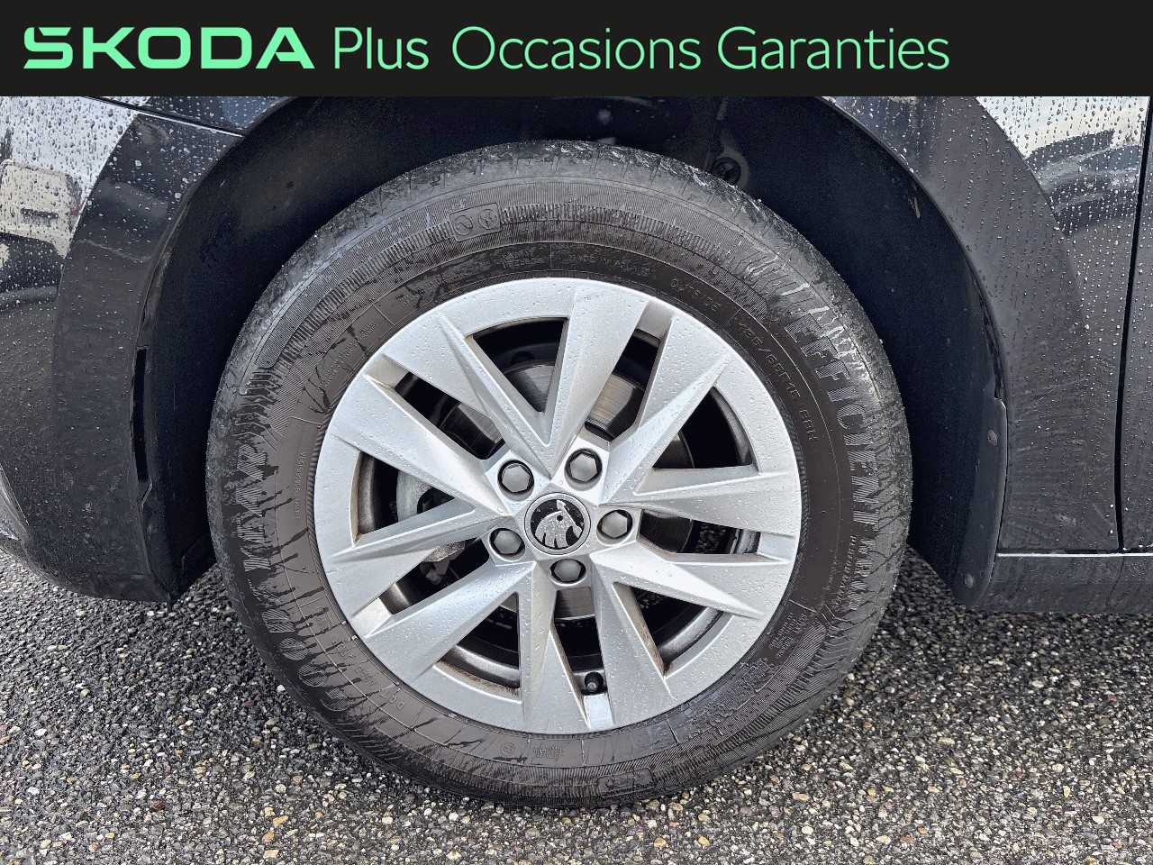 Voitures occasions ŠKODA FABIA Ambition Sarreguemines