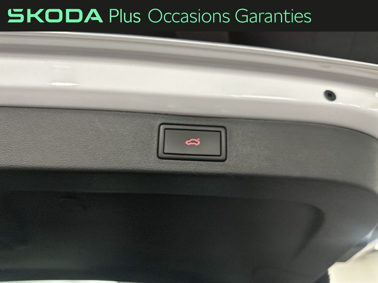 Voitures occasions ŠKODA KAMIQ Monte-Carlo Paris