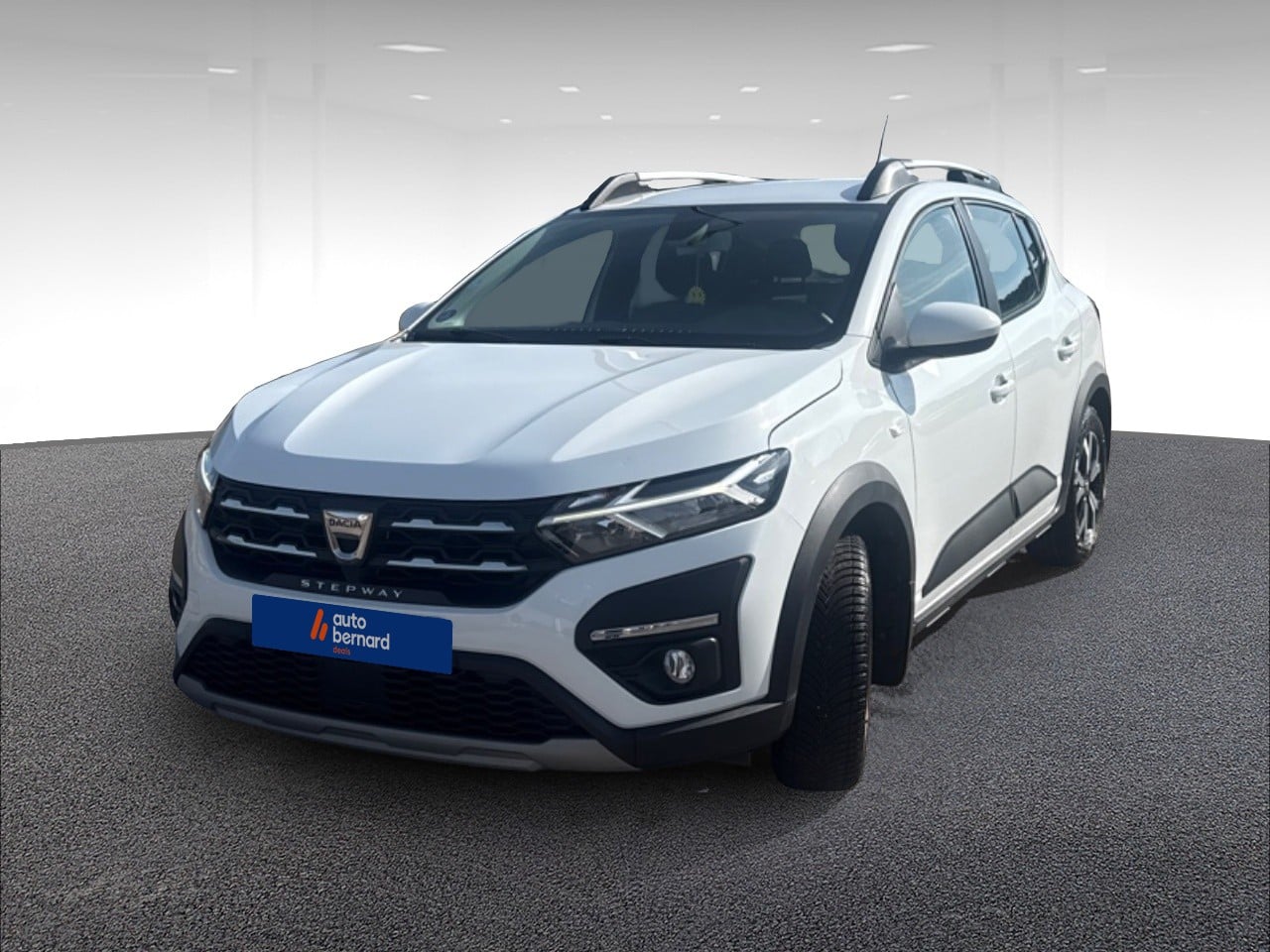 1.0 ECO-G 100ch Stepway Confort -22