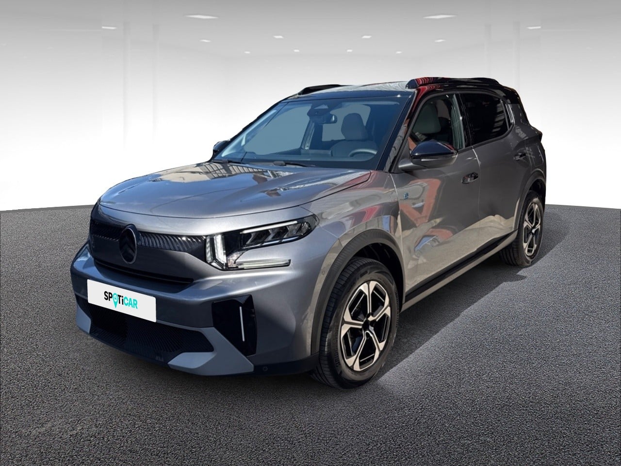 Electrique 113ch autonomie confort MAX