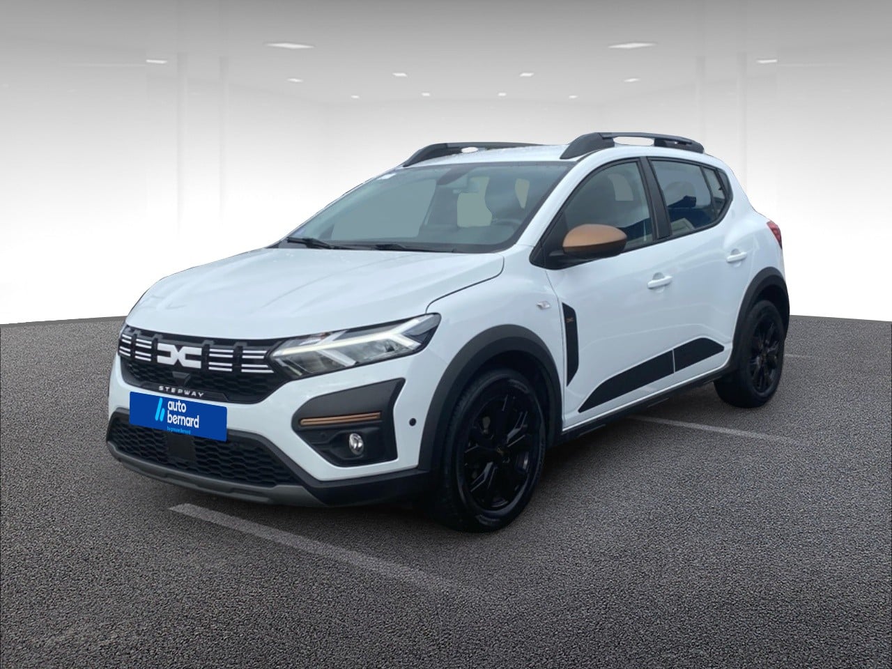 1.0 ECO-G 100ch Stepway Extreme +