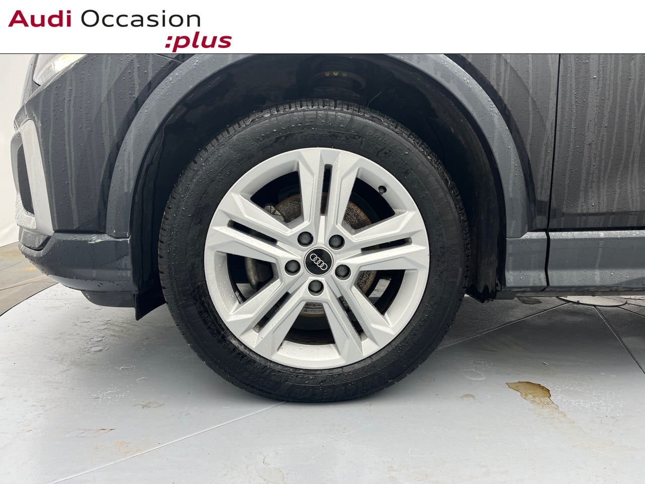 Voitures occasions Audi Q2 Design Rezé