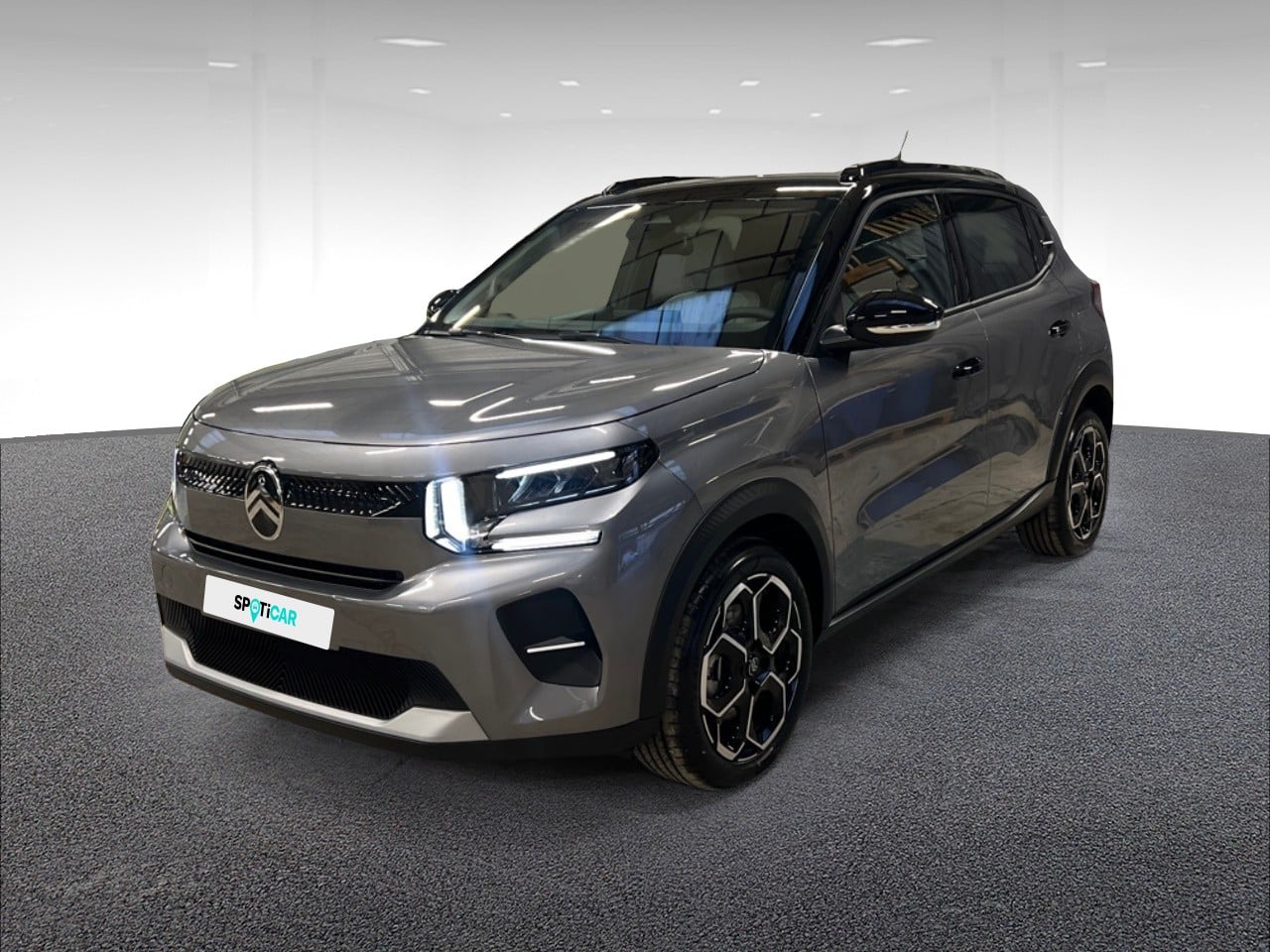Electrique 113ch, autonomie confort, MAX