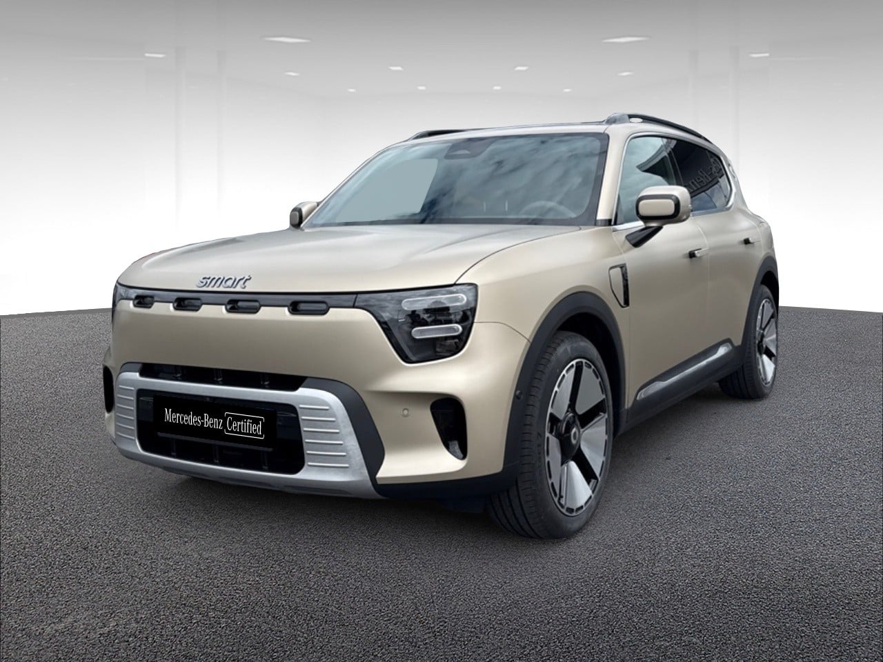363ch 100kWh Premium