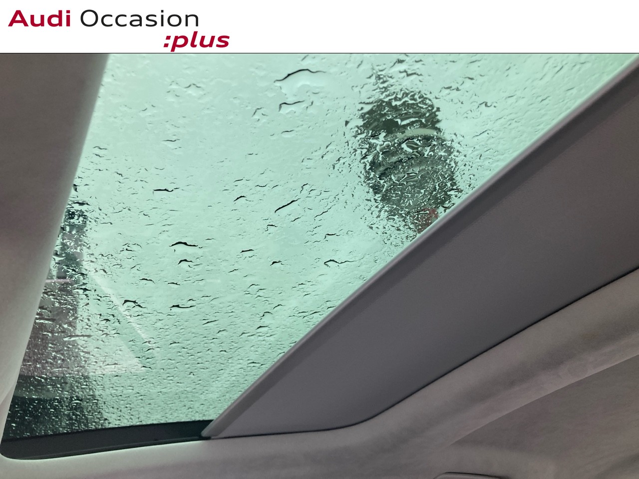 Voitures occasions Audi A8 Avus Extended Lille