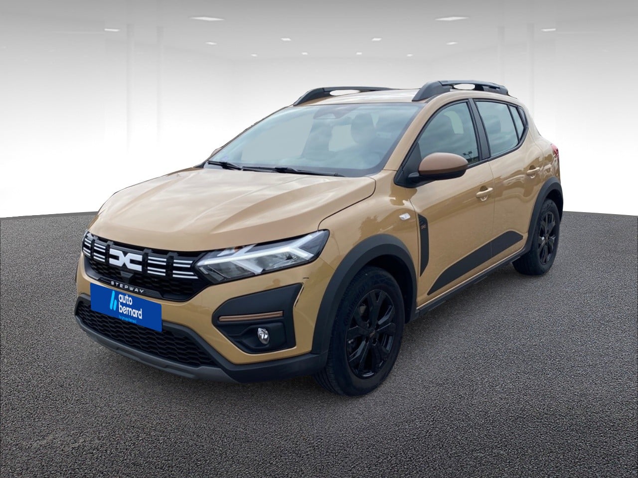 1.0 TCe 90ch Stepway Extreme -24