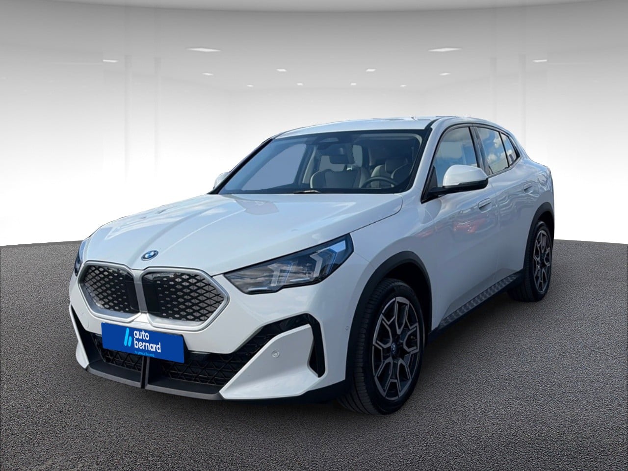 iX2 eDrive20 204ch