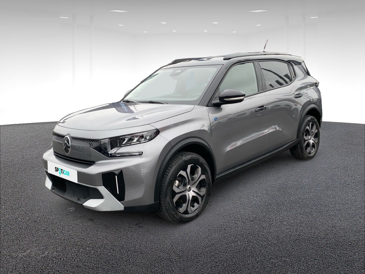 Electrique 113ch autonomie confort PLUS