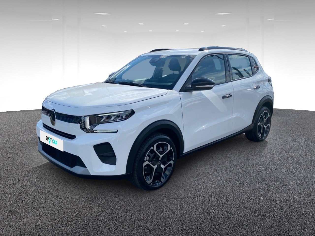 Electrique 113ch 44,2kWh autonomie confort PLUS